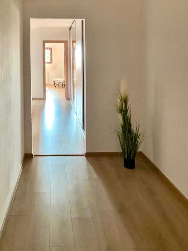 Hotel Casa Dima Konstanca Zewnętrze zdjęcie